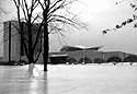 NLM in the Snow